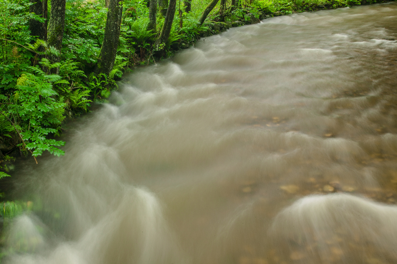 20DU3076 (43 von 153)